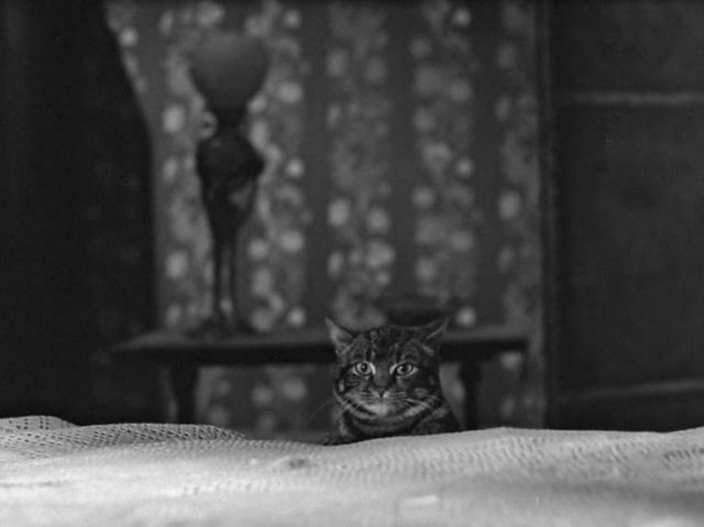 Aaagh! A terrifying sight! Tabitha appears at the bottom of Walter's bed and gives him a second heart attack, this time fatal.